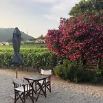 Morgadio Da Calcada Douro Wine&tourism Gospodarstwo wiejskie