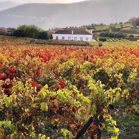 Morgadio Da Calcada Douro Wine&tourism * Pinhão