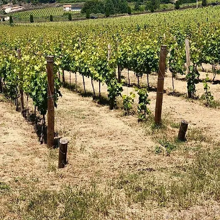 Morgadio Da Calcada Douro Wine&tourism Landsted