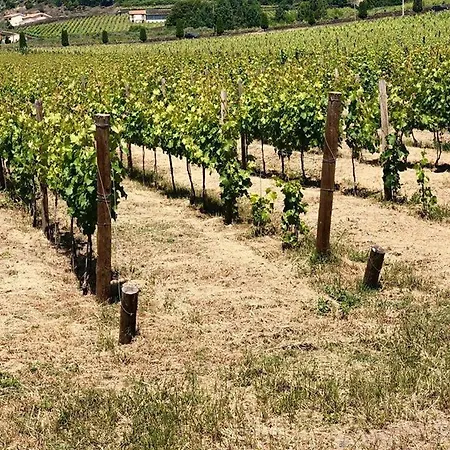 Morgadio Da Calcada Douro Wine&tourism Casa de Campo