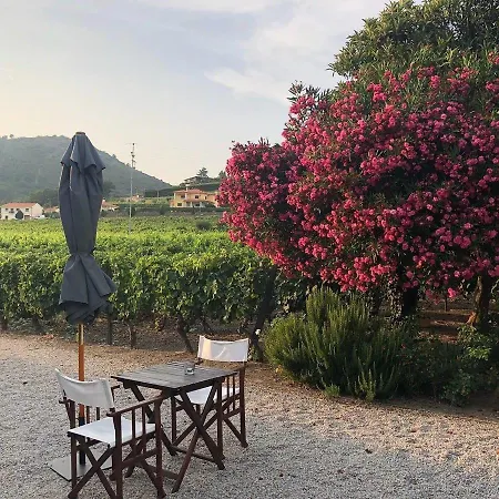 Morgadio Da Calcada Douro Wine&tourism Landhaus