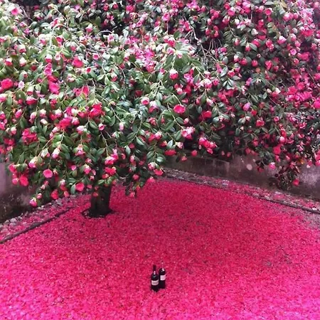 Morgadio Da Calcada Douro Wine&tourism