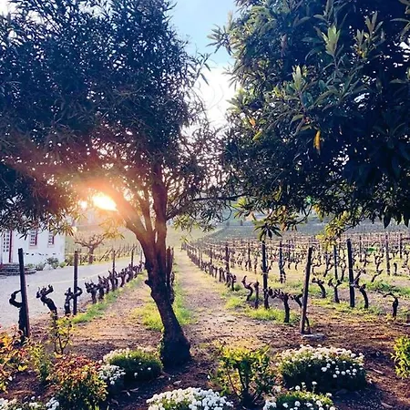 Morgadio Da Calcada Douro Wine&tourism Landhaus Pinhão