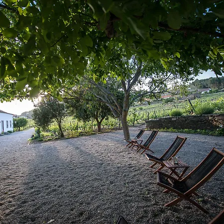 Morgadio Da Calcada Douro Wine&tourism * Pinhao