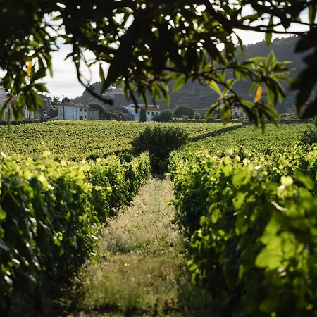 Landsted Morgadio Da Calcada Douro Wine&tourism