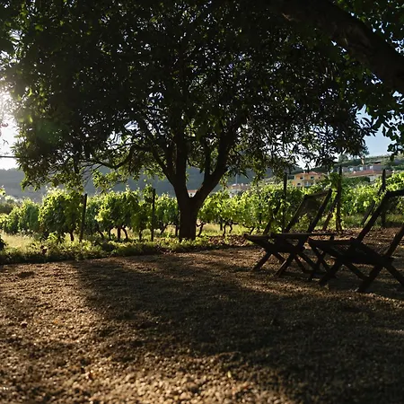 Morgadio Da Calcada Douro Wine&tourism Pinhão
