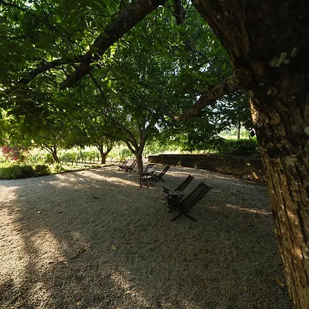 Morgadio Da Calcada Douro Wine&tourism Landsted