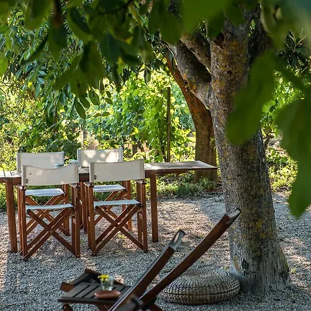 Morgadio Da Calcada Douro Wine&tourism Pinhão