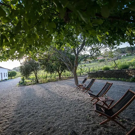 Morgadio Da Calcada Douro Wine&tourism Casa di campagna *