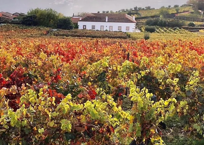 Morgadio Da Calcada Douro Wine&tourism * Pinhão