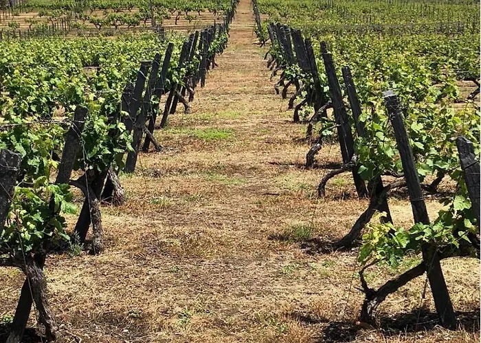 Morgadio Da Calcada Douro Wine&tourism * Pinhão