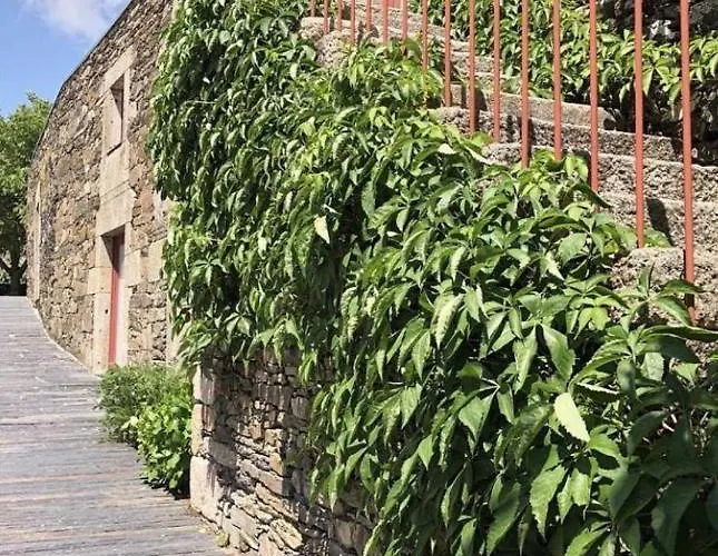 Gospodarstwo wiejskie Morgadio Da Calcada Douro Wine&tourism