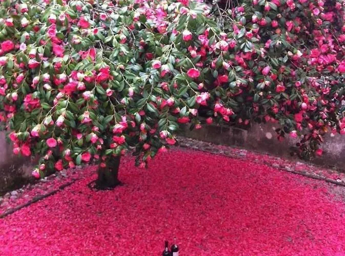 Morgadio Da Calcada Douro Wine&tourism