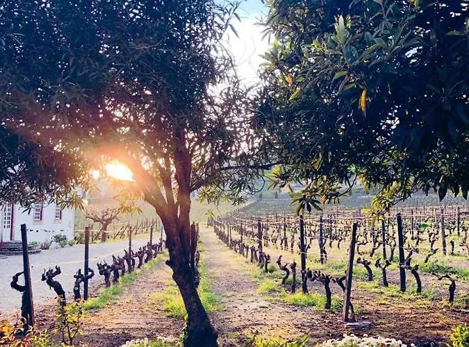 Morgadio Da Calcada Douro Wine&tourism Séjour à la campagne Pinhão