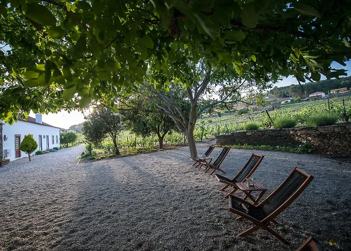 Morgadio Da Calcada Douro Wine&tourism * Pinhão