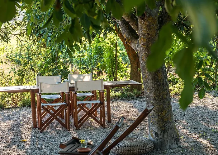 Morgadio Da Calcada Douro Wine&tourism Pinhão